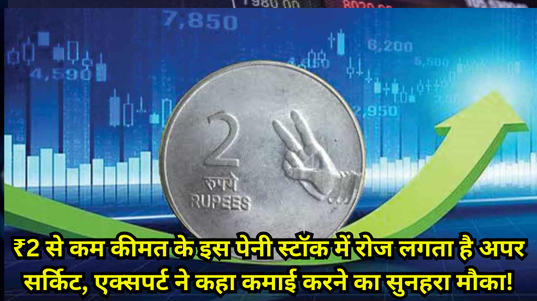 Harshil Agrotech Share Price