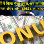 Valiant Communications Share Price